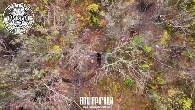 ⚡️СВО 18+ 200 бригада ЛенВО выкуривает Микол из их укрытий смотреть онлайн