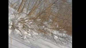 Обзор мотоснегоката Эгоист Спорт от Русохода