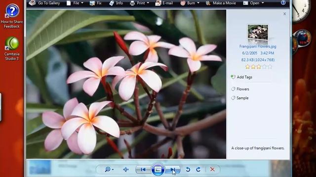 Windows Vista Voice Control Record смотреть онлайн