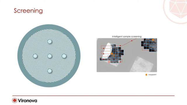 Automated purity and integrity check of gene therapy vectors смотреть онлайн