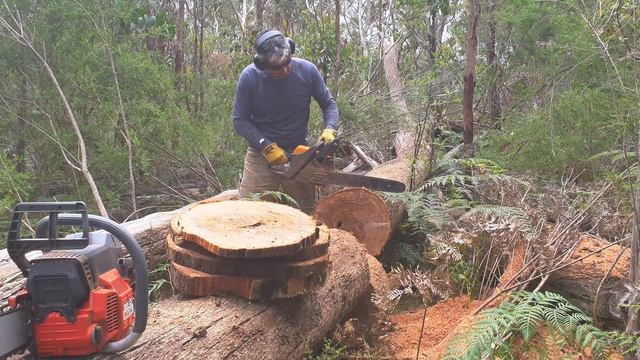 Oleo mac 971 chainsaw and Pro mac 46 смотреть онлайн