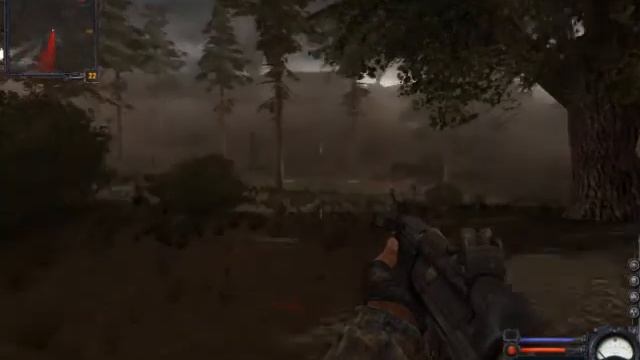 S.T.A.L.K.E.R. wild goose chase смотреть онлайн