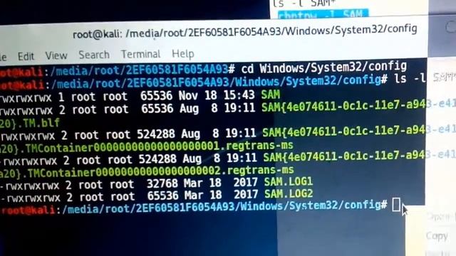 Break a Forgotten Password using kali linux for Windows 7, 8 8 1, 10 Hindi urdu смотреть онлайн