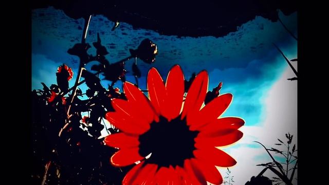 Terr Will Win смотреть онлайн