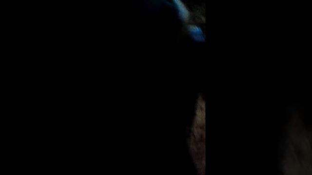 📼💿hsmqa смотреть онлайн