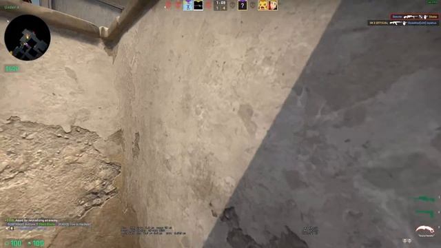 5+ Years Scout Only смотреть онлайн