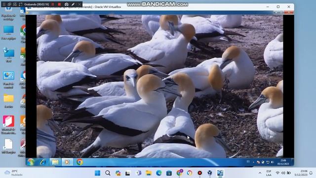 Windows 7 Professional Sp1 2011 Spanish Version en virtual machine parte 4 final смотреть онлайн