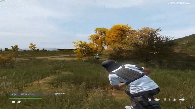 Best DayZ Server | #celestial #dayz #fragmovie смотреть онлайн