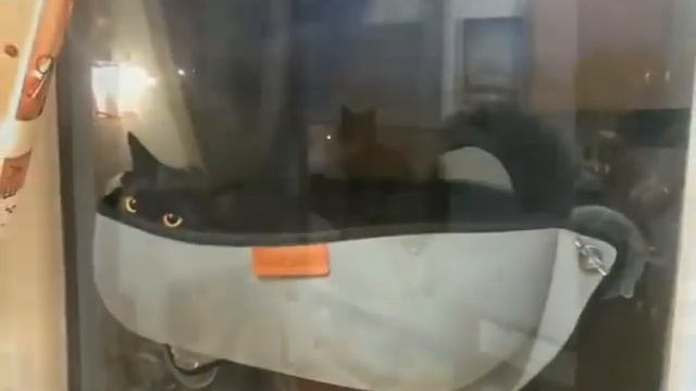 Cat Hammock Bed -Window Bed- For Cat Rest House Soft And Comfortable Cage смотреть онлайн