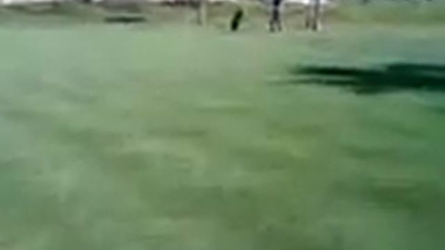 carson's great chip shot_WMV V9.wmv смотреть онлайн