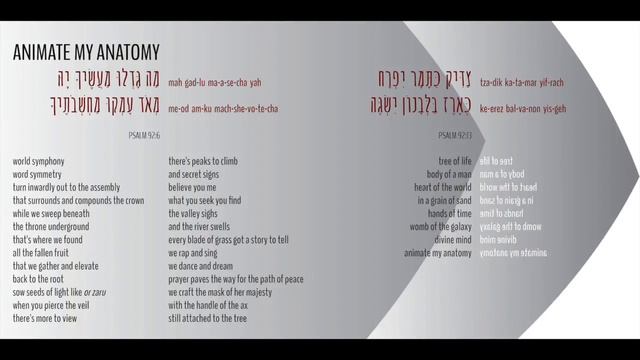 Animate My Anatomy - Lyrics - Darshan - Raza смотреть онлайн