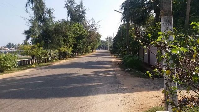 Trincomalee orr'hill смотреть онлайн