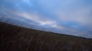 ВСЕ В ШОКЕ ОТ ЭТОЙ ОХОТЫ И ДАЖЕ МАХНОРЫЛ.ОХОТА НА УТКУ.