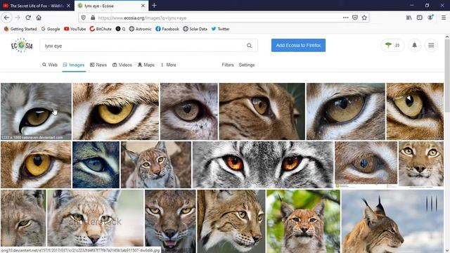 Eyes - Windows to the Soul смотреть онлайн