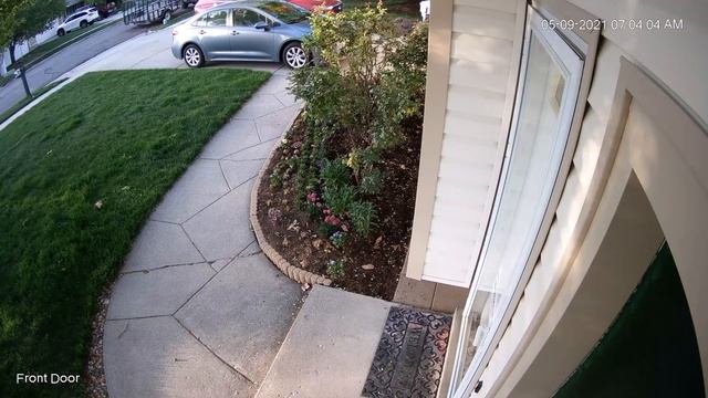 Suburban Predation: Birds Fly Into Window смотреть онлайн