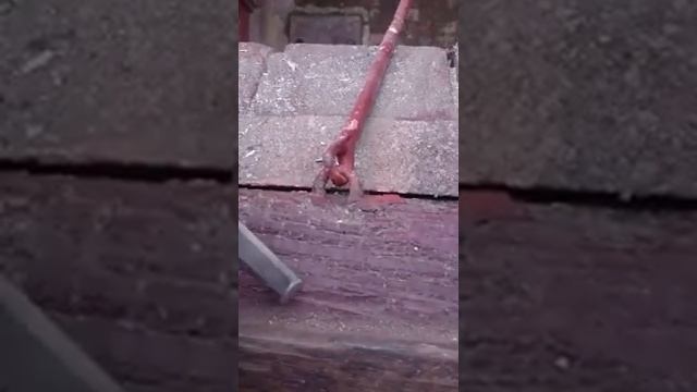 Do not paint hardwood windows please!! смотреть онлайн