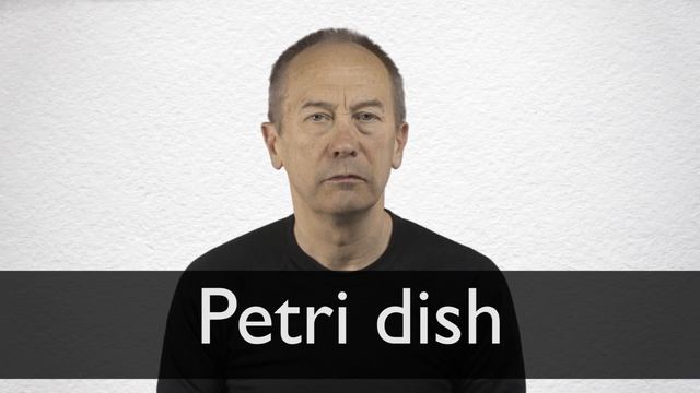 How to pronounce PETRI DISH in British English смотреть онлайн