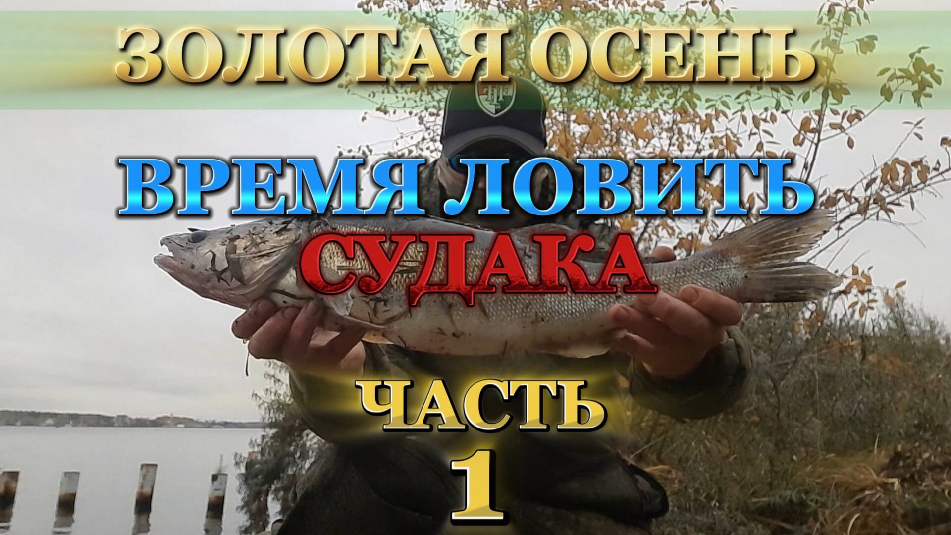 ЛОВЛЯ СУДАКА на ЗАКИДУШКУ и БУТЫЛКИ (ПОСТАВУШКИ). смотреть онлайн