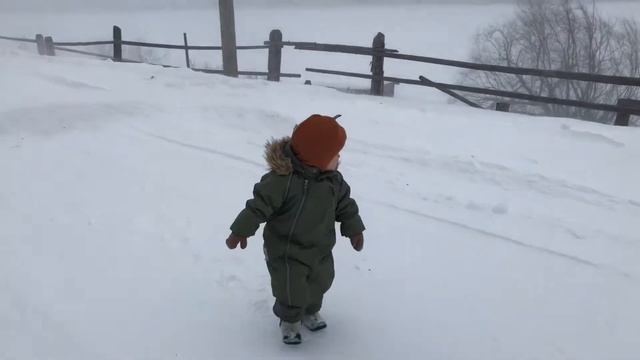 Метель. Мутный материк