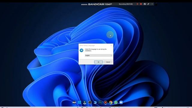 How to Install Telegram on Windows 10 PC смотреть онлайн