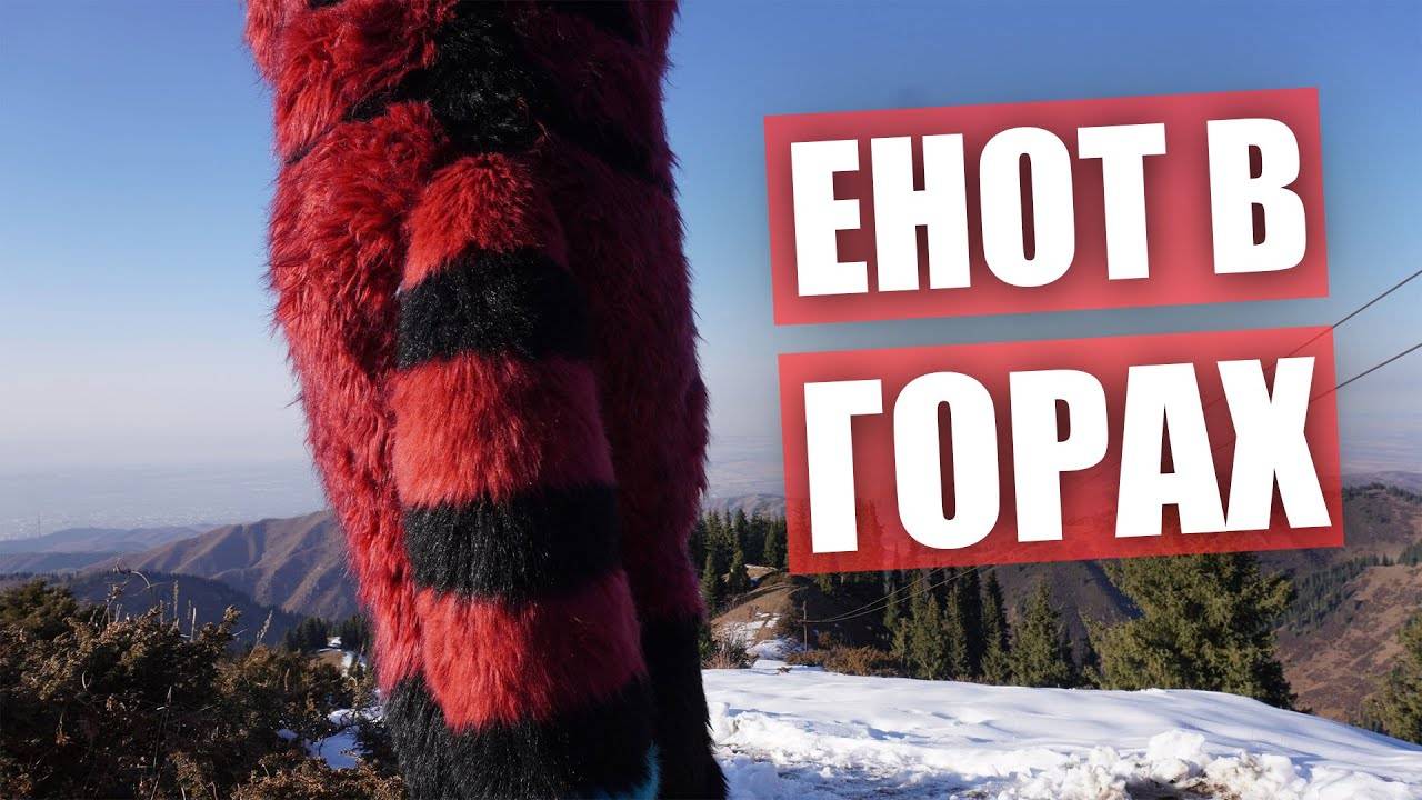 ЕНОТ В ГОРАХ.  ФУРСЬЮТЕР на ПИКЕ Фурманова