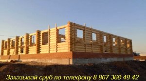 Сборка сруба мечети из оцилиндрованного бревна