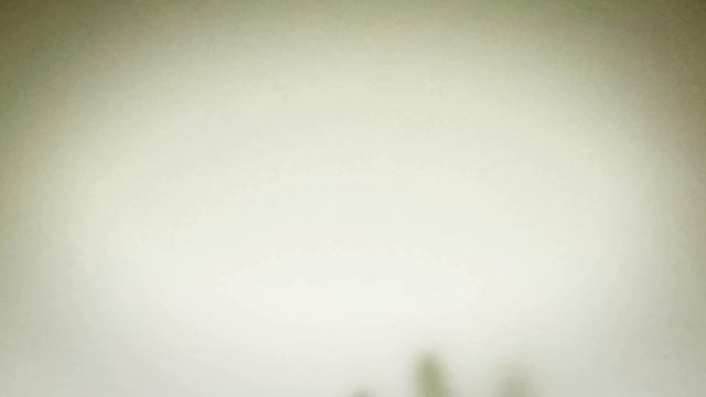 SKELETON DANCE - Myuu