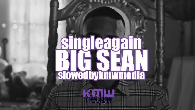 big sean, ty dolla sign, jhene aiko - single again / slowed + reverb смотреть онлайн