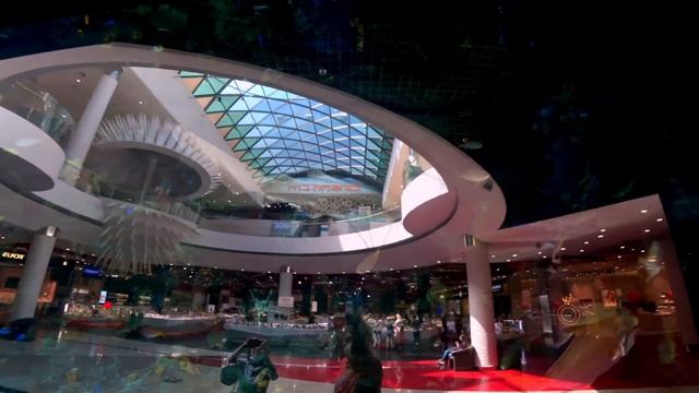 Alina looks at the Aquarium in the Ocean Plaza shopping center Kiev смотреть онлайн