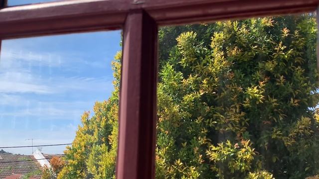 1hour - looking out the window with me смотреть онлайн
