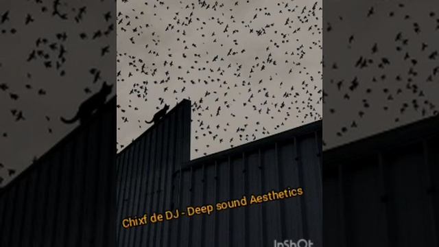 Deep sound Aesthetics смотреть онлайн