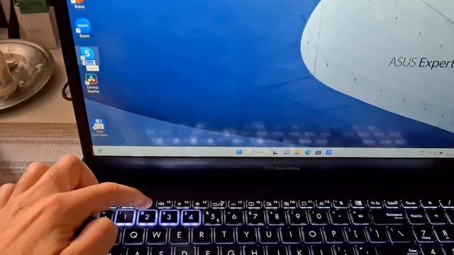 How to rename files using the F2 key (Asus B2502CBA laptop) смотреть онлайн