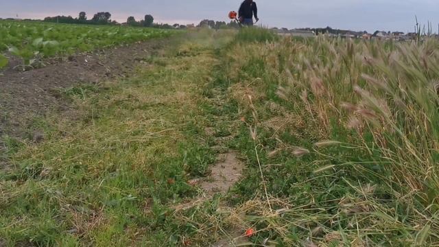 Oleo mac sparta 380t folytatás. смотреть онлайн