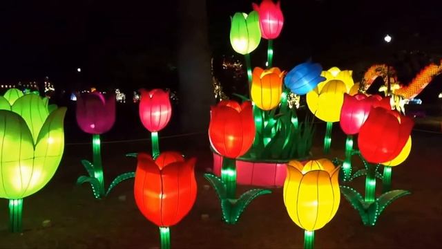 Chinese New Year Lantern Festival Decoration смотреть онлайн