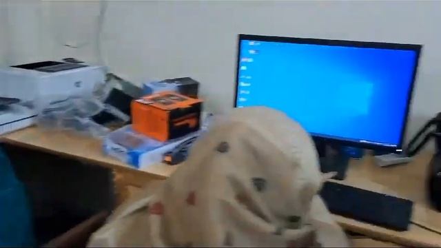 Active participation by blind female teachers learning computer using JAWS software. смотреть онлайн