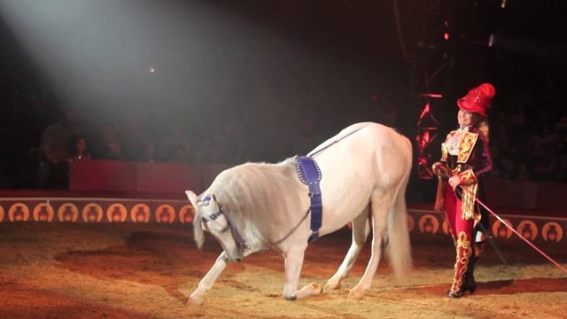 Big Apple Circus - Fall 2012 смотреть онлайн