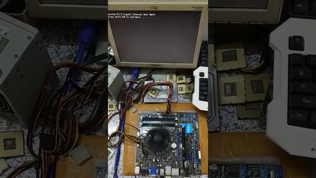 P8H61 M PRO DP 95490231255558 смотреть онлайн