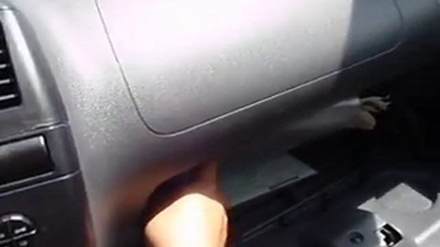 Seat Cordoba 2003
