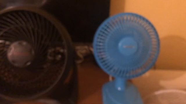 Older Blaupunkt 6 inch blue desk fan VS 2010 Honeywell 7 inch black turbo desk fan смотреть онлайн