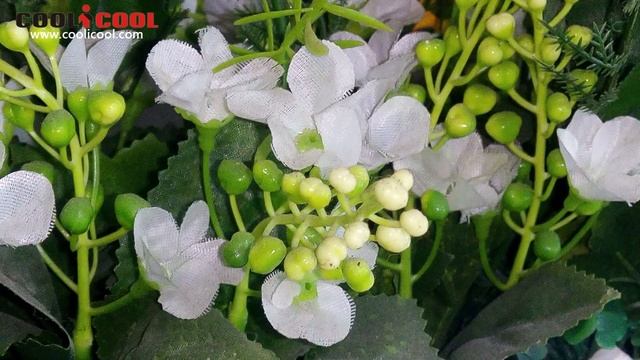 ECOO E04 Aurora Deeply Review-Fingerprint Scanner MT6752 5.5" FHD Screen смотреть онлайн