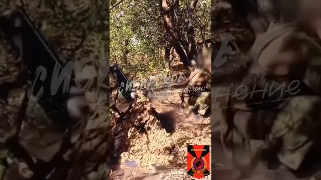 ⚡️СВО 18+ Работа минометной батареи под руководством командира Алтай Алейской бригады смотреть онлайн