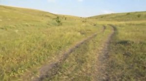 МР 155 длинный и короткий ствол салют 4