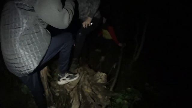 Ночная прогулка по лесу|Встретили людей смотреть онлайн