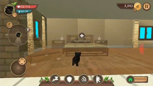 Первое видео канала пушок ТВ. Снимаем видео про игру кет сим 1 часть смотреть онлайн