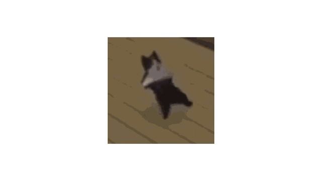 memed up breakcore sample смотреть онлайн