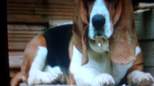 Как снять пароль на любом виндовсе смотреть онлайн