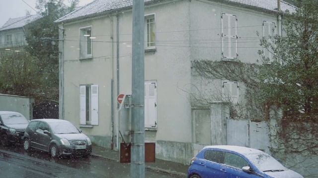 Paris on a snow day. Cats sitting by the window watching the snowfall. смотреть онлайн