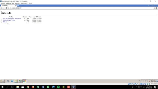 Instalación y Configuración de un FTP Anónimo y Autenticado en Windows Server 2008 R2 смотреть онлайн