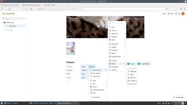 Pexels Pack for Coda Full Demo смотреть онлайн