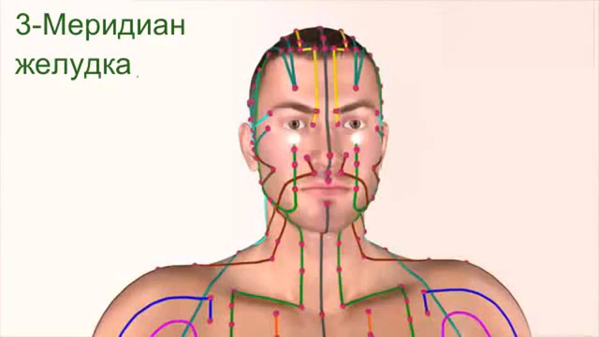 Меридианы по телу